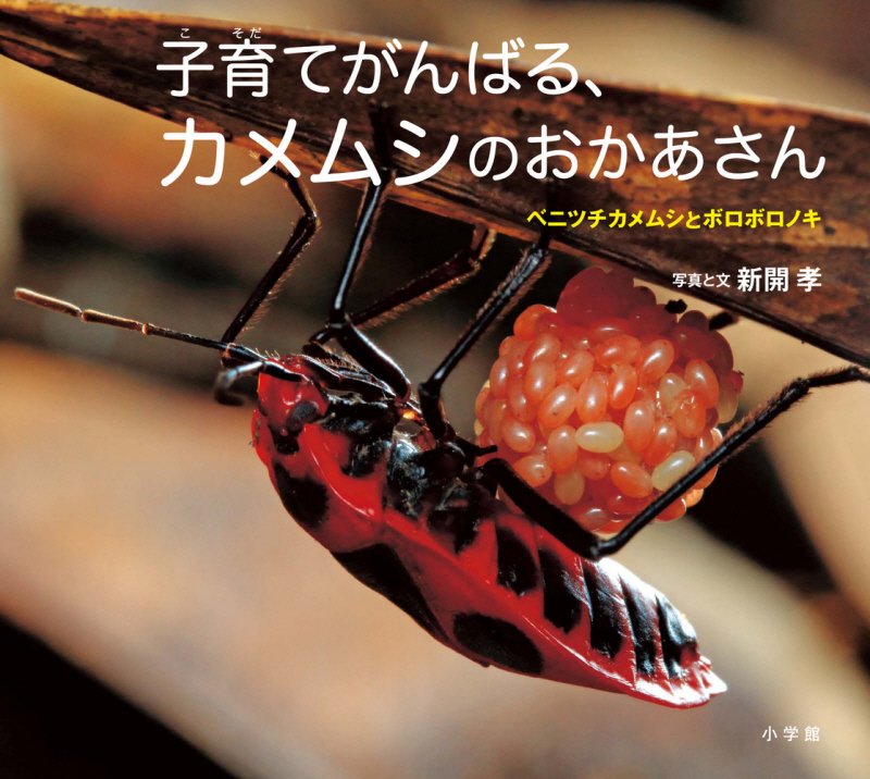 子育てがんばる、カメムシのおかあさん　ベニツチカメムシとボロボロノキ　　（小学館の図鑑ＮＥＯの科学絵本）