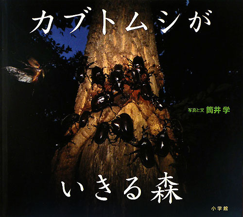 カブトムシがいきる森　　（小学館の図鑑ＮＥＯの科学絵本）