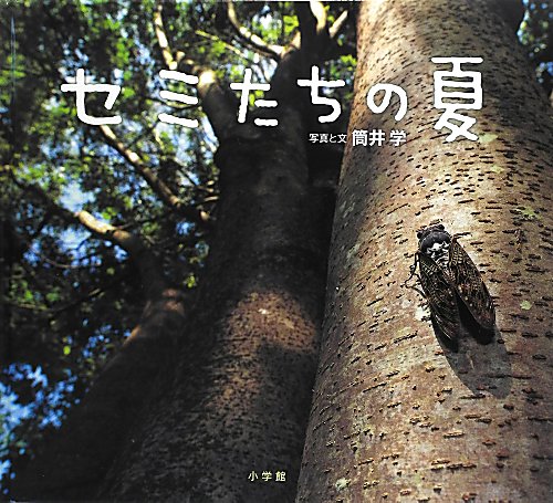 セミたちの夏　　（小学館の図鑑ＮＥＯの科学絵本）