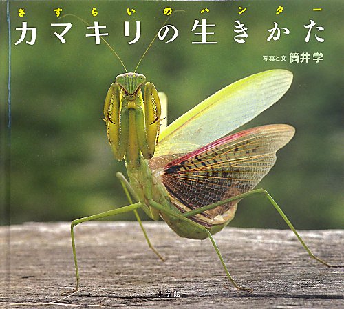 カマキリの生きかた　さすらいのハンター　　（小学館の図鑑ＮＥＯの科学絵本）