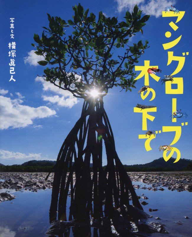 マングローブの木の下で　　（ぴっかぴかえほん）