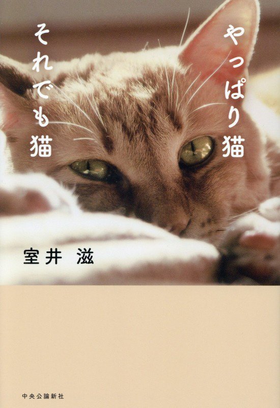 やっぱり猫それでも猫　