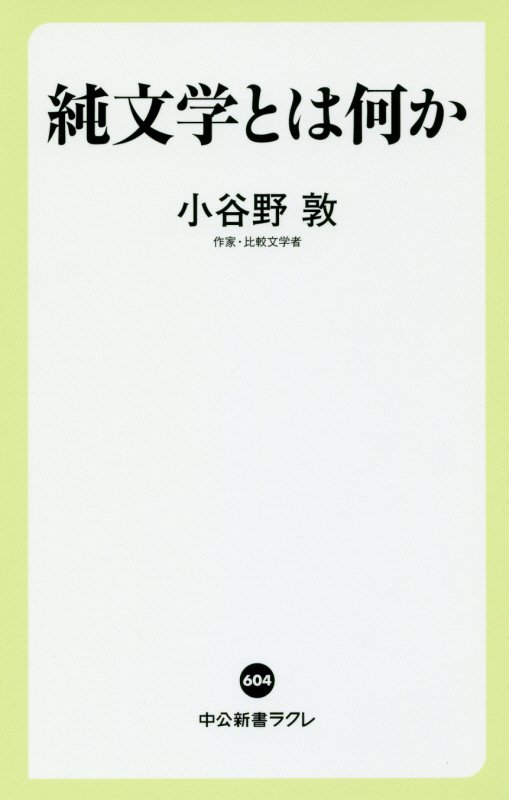 純文学とは何か　　（中公新書ラクレ）