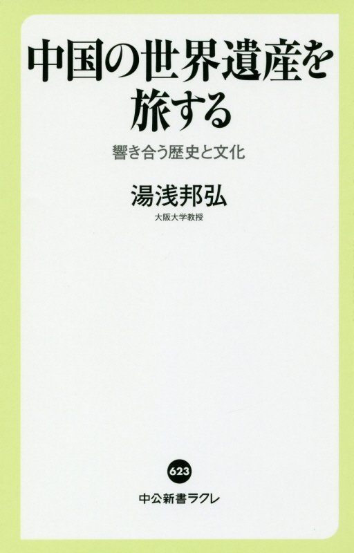 中国の世界遺産を旅する　響き合う歴史と文化　　（中公新書ラクレ）