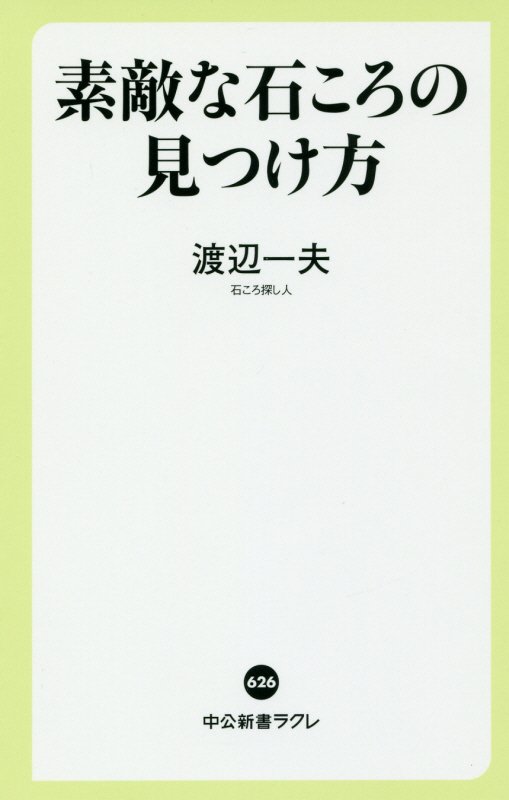 素敵な石ころの見つけ方　　（中公新書ラクレ　６２６）