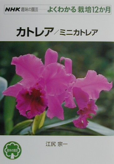 カトレア／ミニカトレア　　（ＮＨＫ趣味の園芸－よくわかる栽培１２か月）