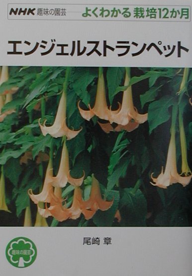 エンジェルストランペット　　（ＮＨＫ趣味の園芸－よくわかる栽培１２か月）