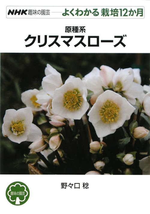 原種系クリスマスローズ　　（ＮＨＫ趣味の園芸－よくわかる栽培１２か月）