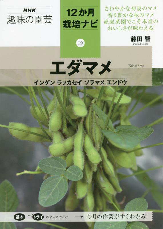 エダマメ　インゲン　ラッカセイ　ソラマメ　エンドウ　　（ＮＨＫ趣味の園芸　１２か月栽培ナビ）