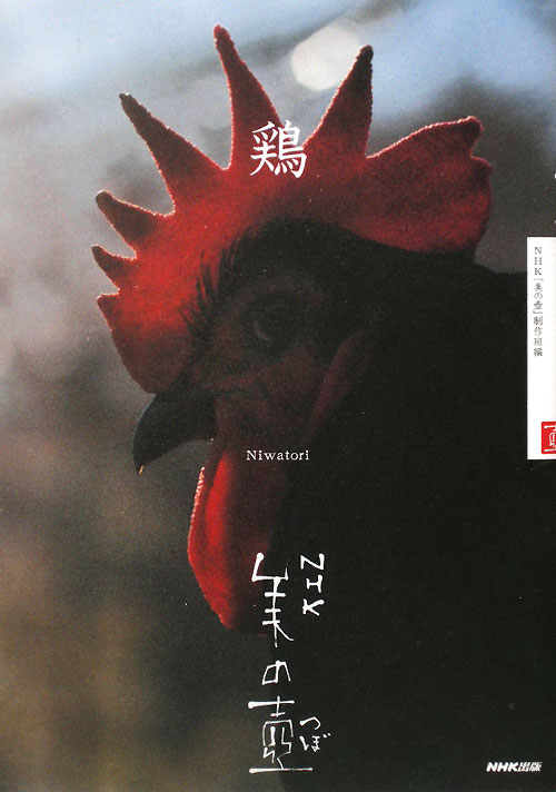 鶏　　（ＮＨＫ美の壺）