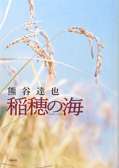 稲穂の海　