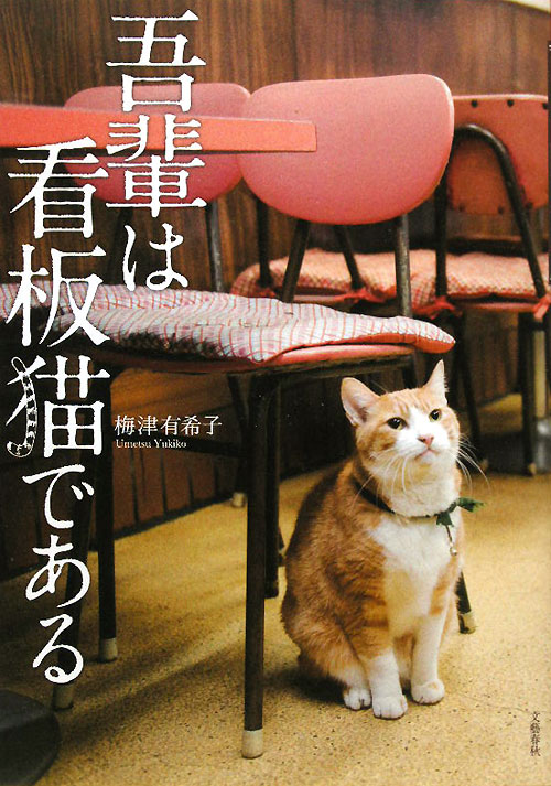 吾輩は看板猫である　