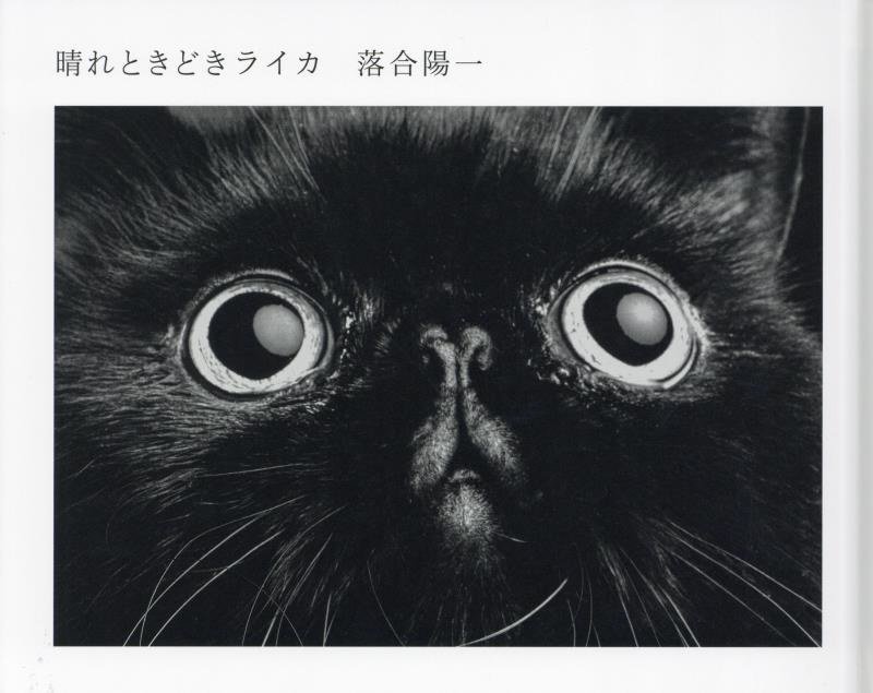 晴れときどきライカ　