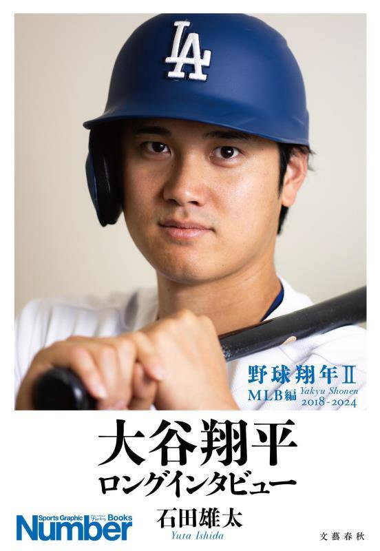 野球翔年　２　ＭＬＢ編