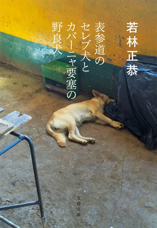 表参道のセレブ犬とカバーニャ要塞の野良犬　　（文春文庫）