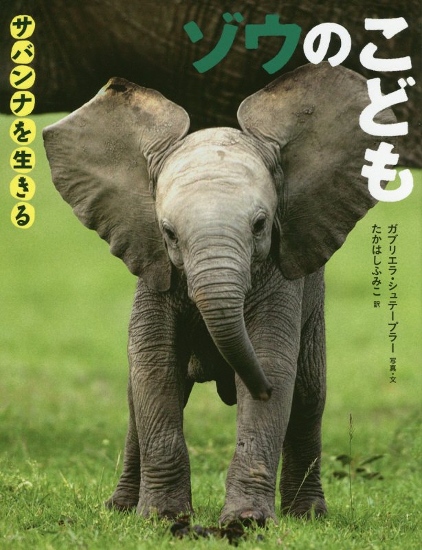 ゾウのこども　　（サバンナを生きる）