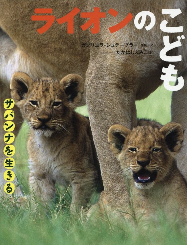 ライオンのこども　　（サバンナを生きる）