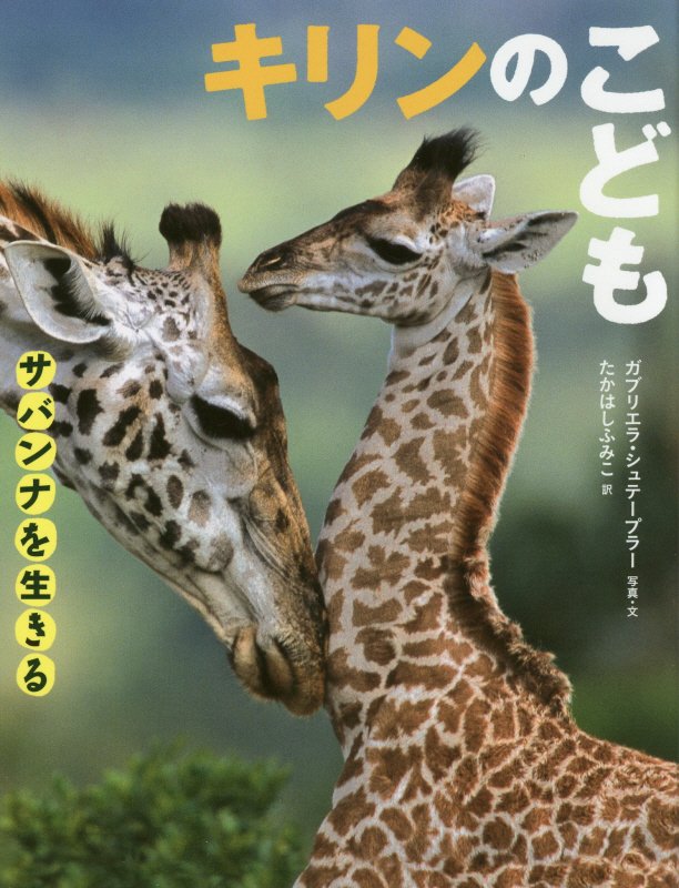 キリンのこども　　（サバンナを生きる）