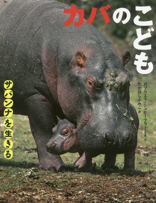 カバのこども　　（サバンナを生きる）