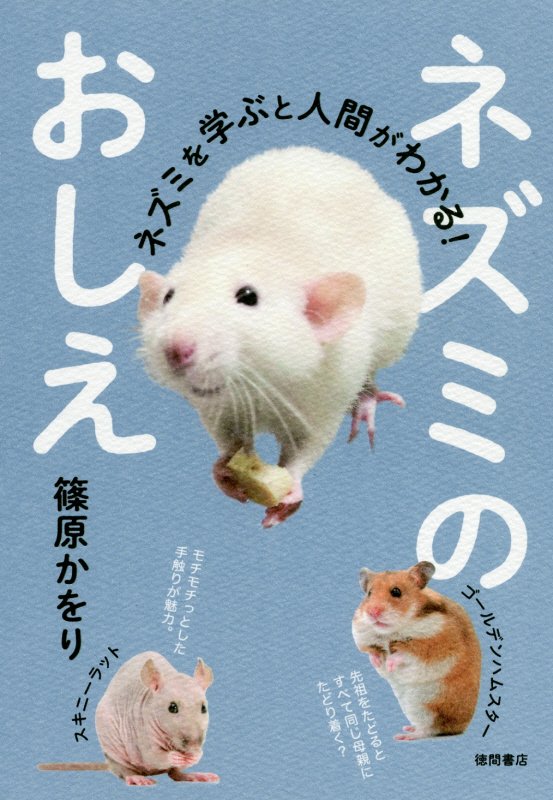 ネズミのおしえ　ネズミを学ぶと人間がわかる！　