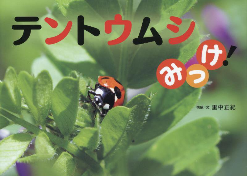 テントウムシみっけ！　　（ふしぎみつけた！）