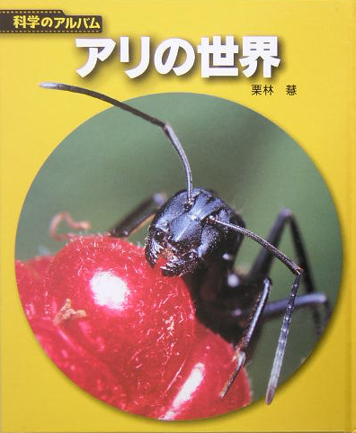 アリの世界　新装版　　（科学のアルバム虫）