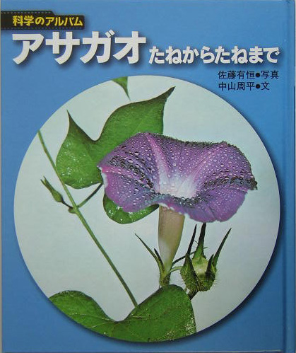 アサガオ　たねからたねまで　　（科学のアルバム）