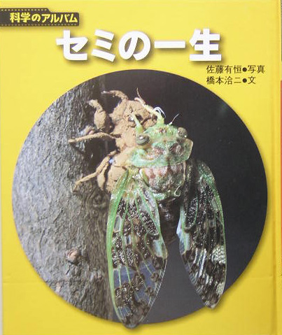 セミの一生　　（科学のアルバム）