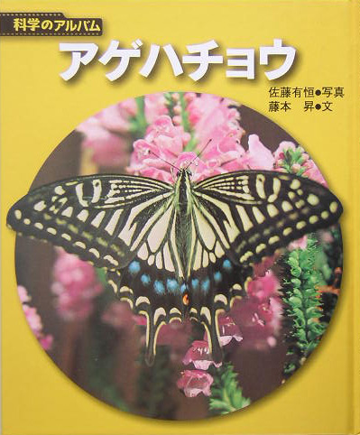アゲハチョウ　新装版　　（科学のアルバム虫）