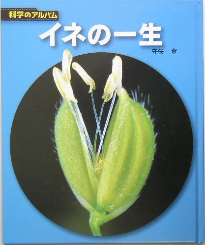 イネの一生　新装版　　（科学のアルバム植物）