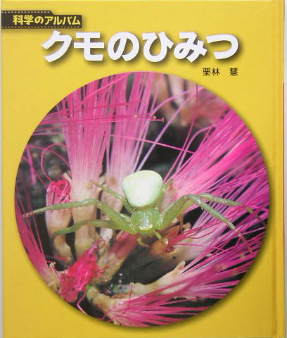 クモのひみつ　新装版　　（科学のアルバム虫）