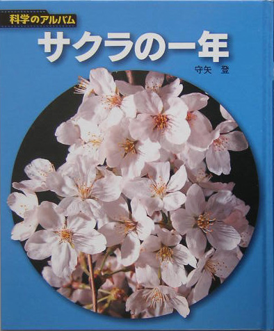 サクラの一年　新装版　　（科学のアルバム植物）
