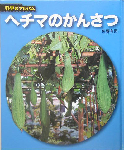 ヘチマのかんさつ　新装版　　（科学のアルバム植物）
