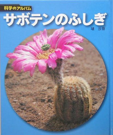 サボテンのふしぎ　新装版　　（科学のアルバム植物）