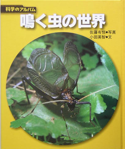 鳴く虫の世界　新装版　　（科学のアルバム虫）