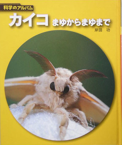カイコ　新装版　まゆからまゆまで　　（科学のアルバム虫）