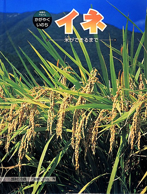 イネ　米ができるまで　　（科学のアルバムかがやくいのち）
