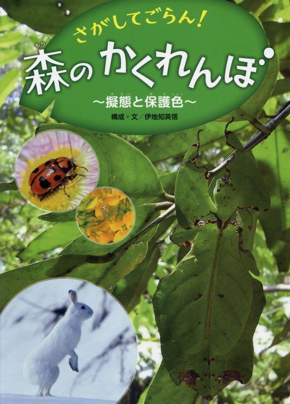 さがしてごらん！森のかくれんぼ　擬態と保護色　