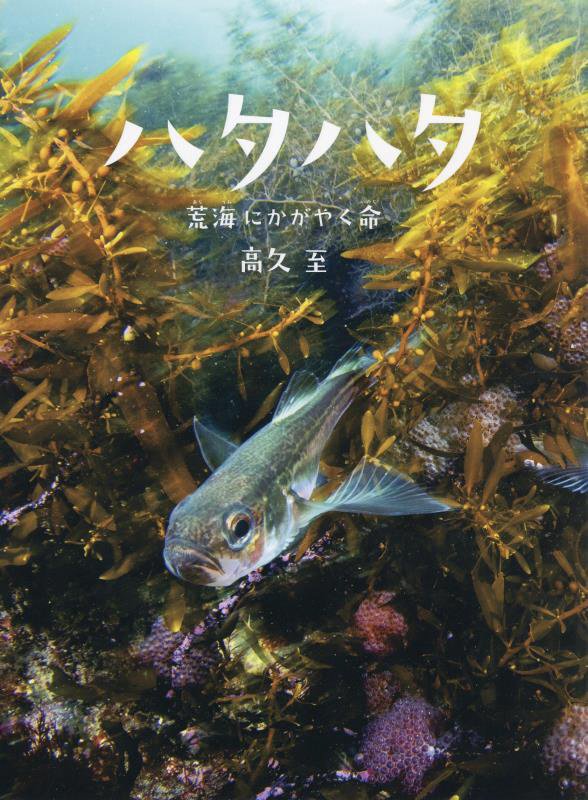 ハタハタ　荒海にかがやく命　