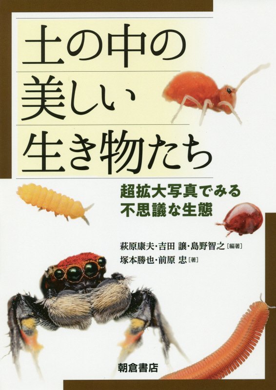 土の中の美しい生き物たち　超拡大写真で見る不思議な生態　