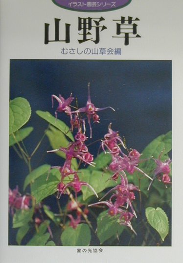 山野草　　（イラスト園芸シリーズ）