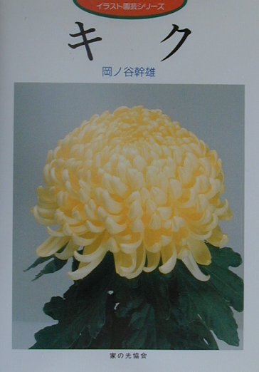 キク　　（イラスト園芸シリーズ）