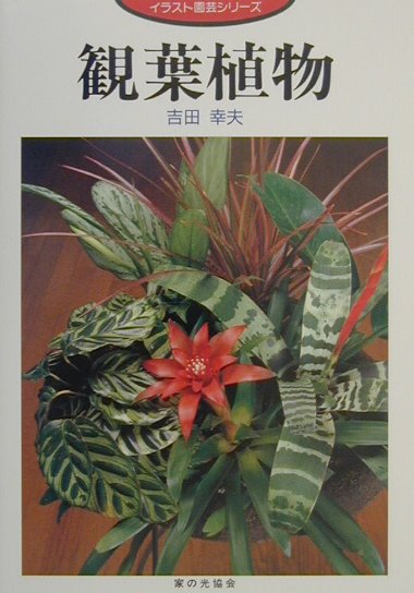 観葉植物　　（イラスト園芸シリーズ）