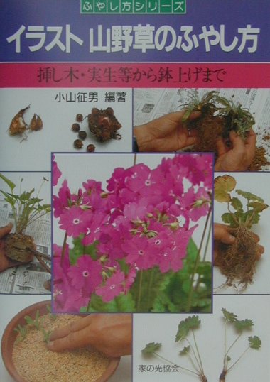 イラスト山野草のふやし方　挿し木・実生等から鉢上げまで　　（ふやし方シリーズ）
