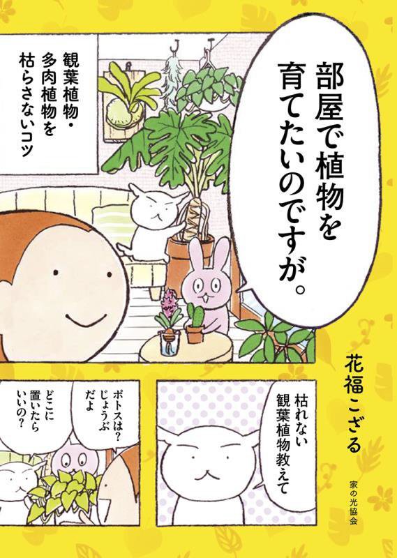 部屋で植物を育てたいのですが。　観葉植物・多肉植物を枯らさないコツ　