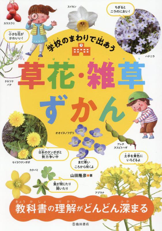 学校のまわりで出あう草花・雑草ずかん　