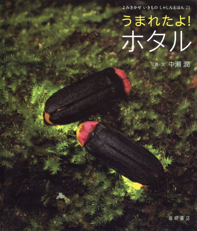 うまれたよ！ホタル　　（よみきかせいきものしゃしんえほん）
