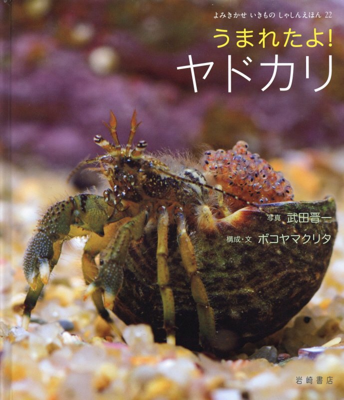 うまれたよ！ヤドカリ　　（よみきかせいきものしゃしんえほん）