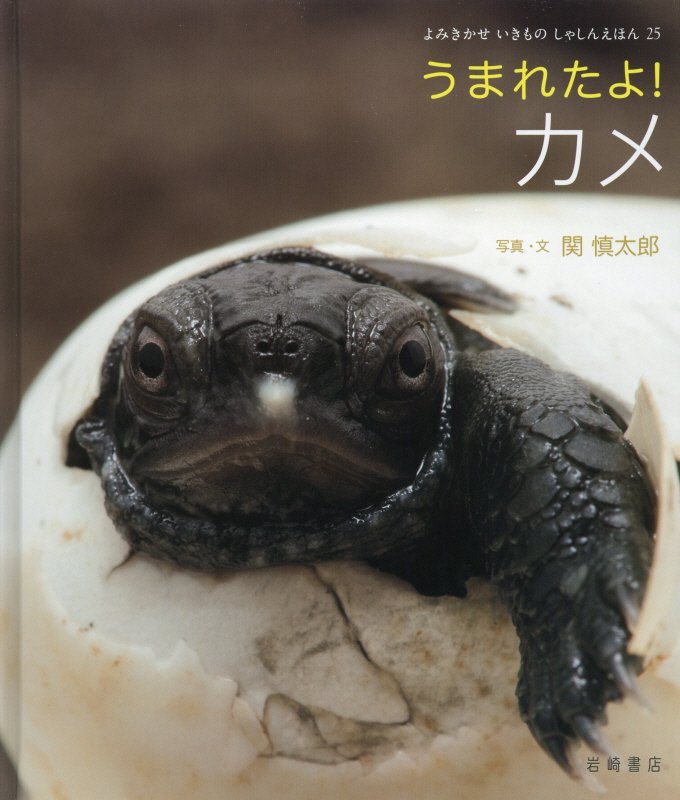 うまれたよ！カメ　　（よみきかせいきものしゃしんえほん）