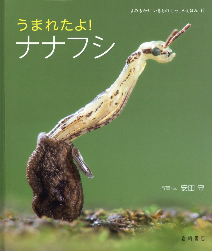 うまれたよ！ナナフシ　　（よみきかせいきものしゃしんえほん）
